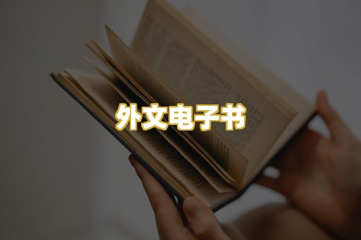 外文电子书